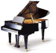 Bohemia Smetana 225 