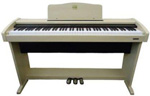 Classenti CDP1 Maple Classenti CDP1 Maple