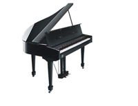 Classenti GR1 Polished Ebony