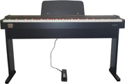 Classenti P1 With Wooden Stand