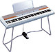 Korg SP250
