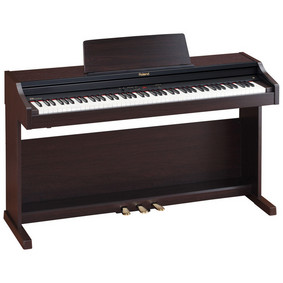 Roland RP301