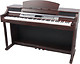 Thomann DP50