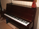Waldstein Piano