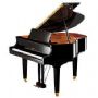 Yamaha A1LS Silent Yamaha A1LS Silent