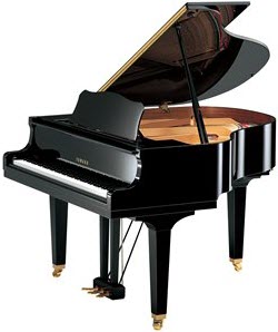 Yamaha GB1