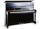 Bohemia 113 Menuet