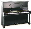Bohemia 132 Concerto