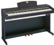 Digital Pianos, Yamaha, Roland, Casio, Korg