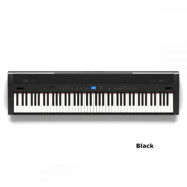 Digital Piano Rental
