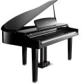 Kurzweil CGP220W Polished Ebony