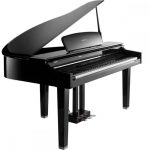 Kurzweil CGP220W Polished Ebony