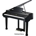 Kurzweil KAG100 Polished Ebony