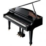 Roland RG-3F Polished Ebony