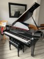 Classenti AG1 Baby gGrand Acoustic Piano